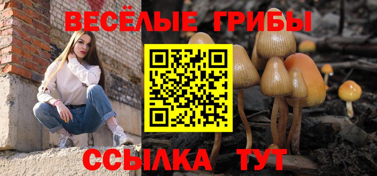 Галлюциногенные грибы мухоморы  Псилоцибиновые грибы Magic Shrooms  Балтийск  Вход с VPN 